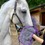 Henry Wag Equine Microfibre Noodle Glove Towel thumbnail