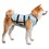 Suitical Dry Cooling Vest for Dogs thumbnail