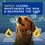 DOUXO Skin & Coat Spa Ultra-Safe Oatmeal Dog Shampoo 250ml thumbnail