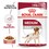 Royal Canin Medium Adult Wet Dog Food in Gravy thumbnail