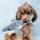 Ancol Made From Recycled Material Shark Cuddler Dog Toy thumbnail