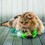 KONG Wicker Wubba Cat Toy thumbnail