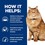 Hills Prescription Diet KD/JD Plus Mobility Dry Food for Cats thumbnail