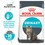 Royal Canin Urinary Care Adult Cat Food thumbnail