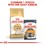 Royal Canin Siamese Adult Dry Cat Food thumbnail