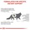 Royal Canin Urinary S/O Dry Food for Cats thumbnail