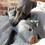 Ancol Made From Recycled Material Seal Dog Toy thumbnail