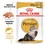 Royal Canin Persian Pouches in Loaf Adult Cat Food thumbnail