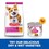 Hills Science Plan Adult 1-6 Small & Mini Wet Dog Food (Chicken Mousse) thumbnail