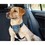 CarSafe Dog Travel Harness thumbnail