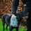 Henry Wag Microfibre Drying Glove thumbnail