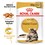 Royal Canin Maine Coon Pouches in Gravy Adult Cat Food thumbnail