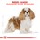 Royal Canin Cavalier King Charles Dry Adult Dog Food thumbnail