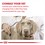 Royal Canin Calm Dry Food for Small Dogs 4kg thumbnail
