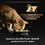 Purina Pro Plan Sterilised Longevis Senior 7+ Wet Cat Food (Turkey) thumbnail