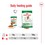 Royal Canin Mini Adult Wet Dog Food in Gravy thumbnail