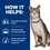 Hills Prescription Diet KD Dry Food for Cats (Tuna) thumbnail