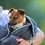 Henry Wag Microfibre Cleaning Towel thumbnail
