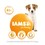 Iams for Vitality Small/Medium Breed Puppy Food (Fresh Chicken) thumbnail
