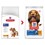 Hills Science Plan Oral Care Adult 1+ Dry Dog Food (Chicken) thumbnail