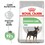 Royal Canin Mini Digestive Care Dry Dog Food thumbnail