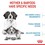 Royal Canin Medium Starter Mother & Babydog Adult/Puppy Dry Food 4kg thumbnail