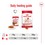 Royal Canin Medium Adult Wet Dog Food in Gravy thumbnail