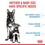 Royal Canin Maxi Starter Mother & Babydog Adult/Puppy Dry Food thumbnail