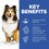 Hills Science Plan Adult 1-6 Sensitive Stomach & Skin Wet Dog Food (Turkey) thumbnail