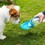 Henry Wag Travel Water Bottle with Leaf Bowl thumbnail