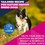Eukanuba Life Care Medium Breed Mature Dog Food (Chicken) 12kg thumbnail