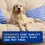 DOUXO Skin & Coat SPA Ultra-Safe Oatmeal Dog Conditioner 250ml thumbnail