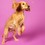 Pooch & Mutt Calm & Relaxed Mini-Bone Dog Treats 125g thumbnail