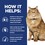 Hills Prescription Diet KD/JD Plus Mobility Dry Food for Cats thumbnail