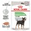 Royal Canin Digestive Care Wet Dog Food Pouches thumbnail