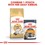 Royal Canin Ragdoll Adult Cat Food 2Kg thumbnail
