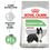Royal Canin Medium Digestive Care Dry Dog Food thumbnail