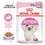 Royal Canin Pouches in Jelly Kitten Food thumbnail