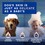 DOUXO Skin & Coat SPA Ultra-Safe Dog Shed Control Shampoo 250ml thumbnail