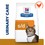 Hills Prescription Diet SD Dry Food for Cats thumbnail