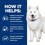Hills Prescription Diet KD Plus Mobility Dry Food for Dogs thumbnail