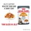 Royal Canin Hair & Skin Care Adult Wet Cat Food in Jelly thumbnail