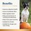 Karnlea Pumpkin Powder for Dogs 200g thumbnail