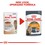 Royal Canin Intense Beauty Care Pouches in Jelly Adult Cat Food thumbnail