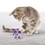 KONG Crackles Winkz Cat Toy thumbnail