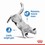 Royal Canin Light Weight Care Pouches in Jelly Adult Cat Food thumbnail