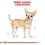 Royal Canin Chihuahua Wet Adult Dog Food thumbnail
