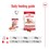 Royal Canin Medium Ageing 7+ Wet Dog Food in Loaf thumbnail