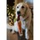 Carter Carrot Plush Christmas Dog Toy thumbnail