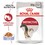 Royal Canin Instinctive Adult Wet Cat Food in Jelly thumbnail